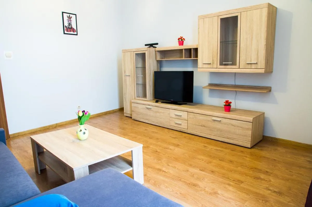 Apartament Brązowy Narutowicza 11 — 4
