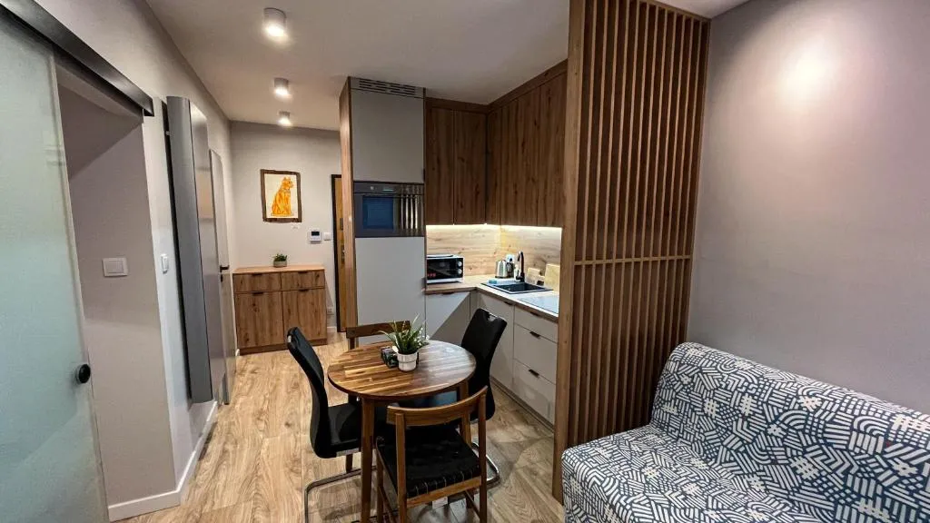 Apartament Lublin Old Town “Serval Cat”