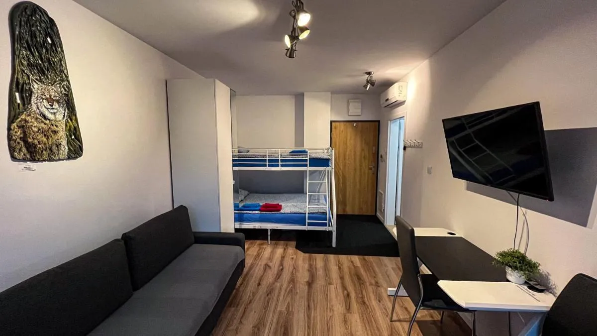 Apartament Lublin Stare Miasto “Bob Cat” — 5
