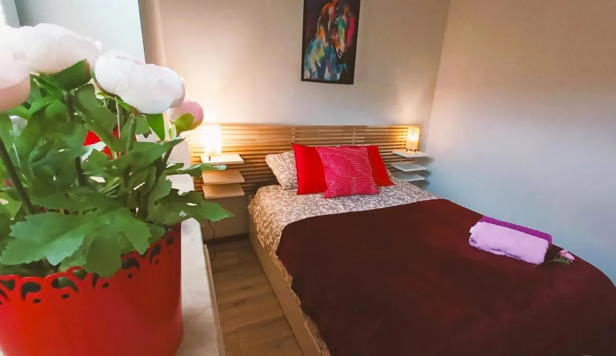 Apartament WIŚNIOWY Krakowskie Przedmieście 26 — 2