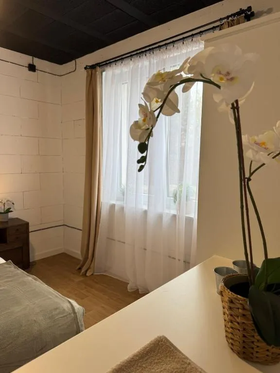 Apartamenty Miernicza
