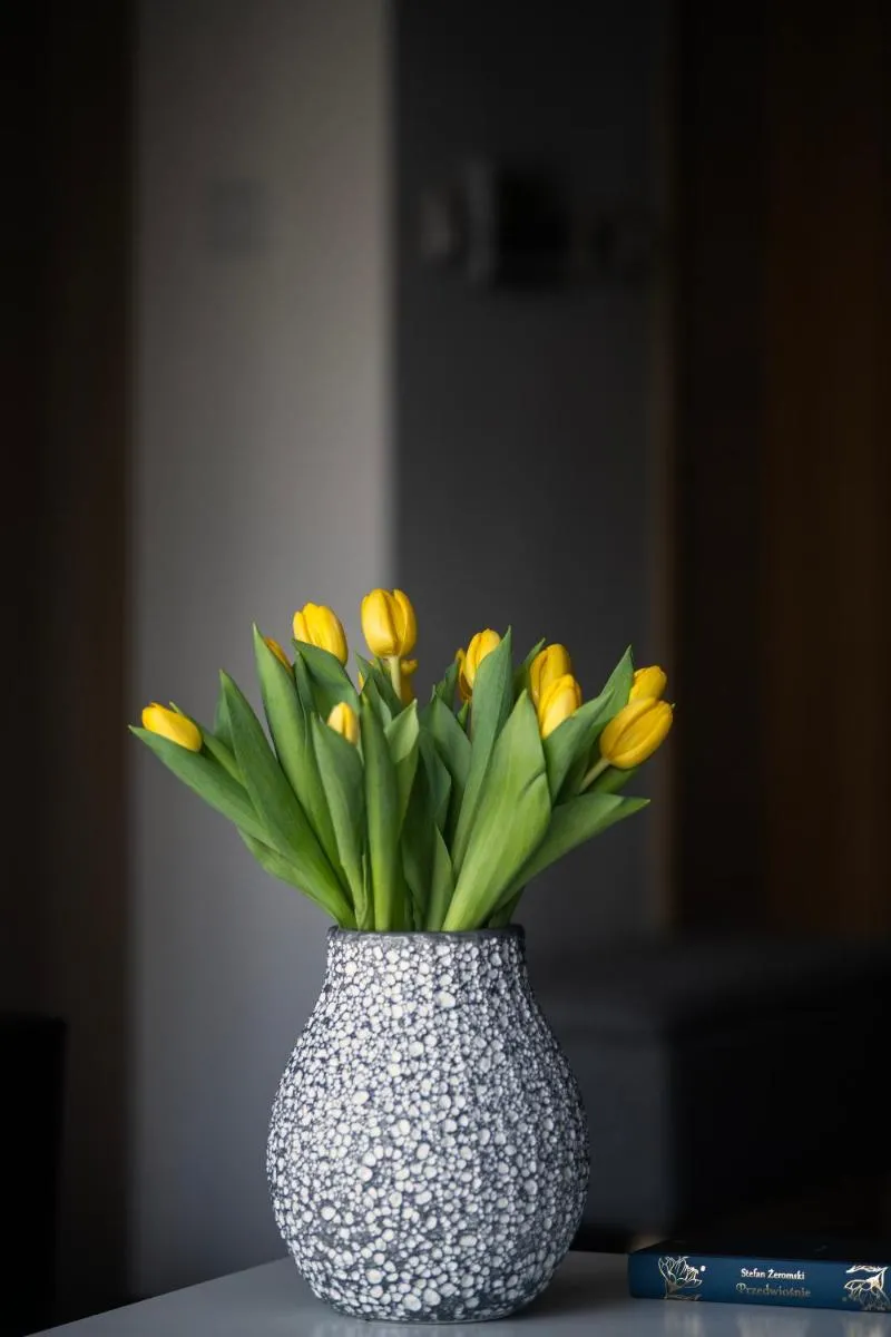 EASY RENT Apartments – Amber 10, Basen & SPA, Centrum Free Parking 24h Check-in — 7