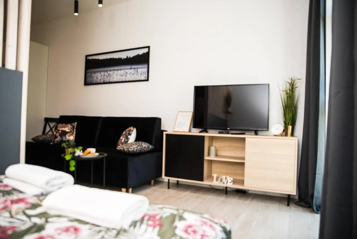 EASY RENT Apartments – BUSINESS CENTER 41, 24h Check-in — 4