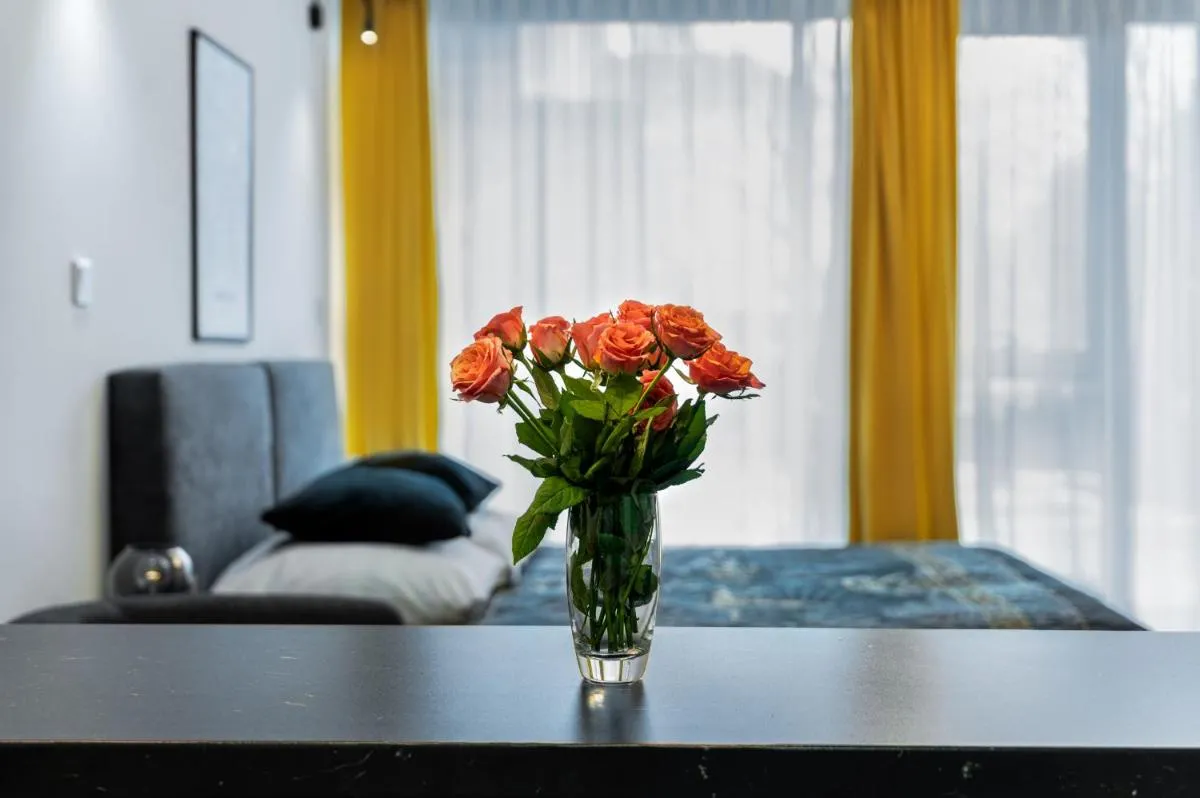 EASY RENT Apartments – Silver 8, Basen & SPA, Centrum Free Parking 24h Check-in — 2